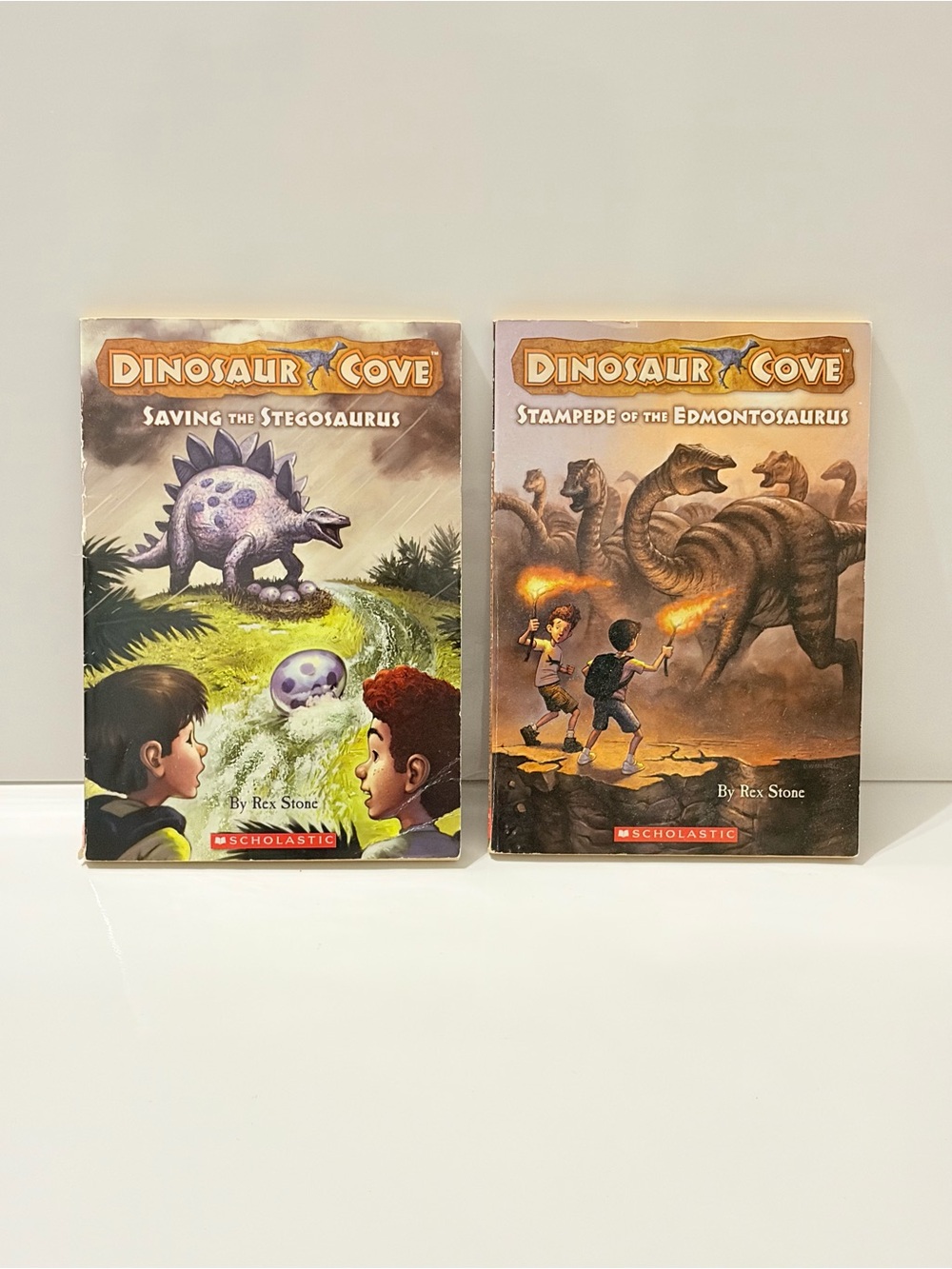 Children’s Chapter Books Dinosaur Cove Scholastic Reader 2009